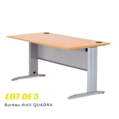 Lot de 5 Bureaux droits Quadra