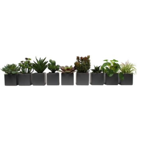 Mini plantes artificielles lot de 9, pots gris