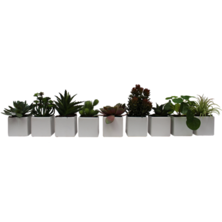 Mini plantes artificielles lot de 9, pots blanc