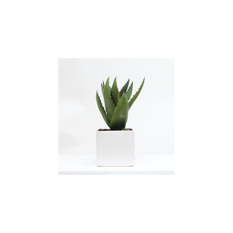 OFFIDIX Mini Plantes Artificielles Plantes en Plastique avec Vase Carré Faux Plastique Maison Plantes Vertes pour Bureau