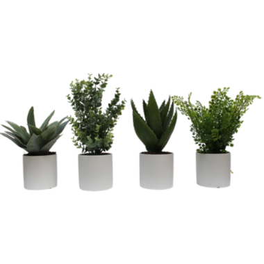 Petites plantes artificielles par lot de 4, pots blanc