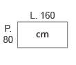 L.160 x P.80 cm