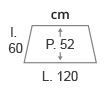 L.120 x l.60 cm