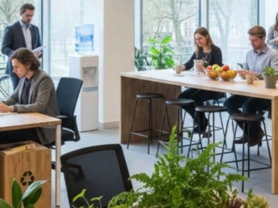 Bureau écologique : 10 idées faciles à adopter