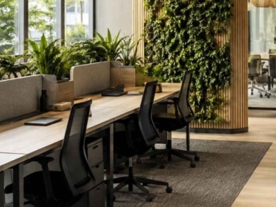Design biophilique au bureau : nature et performance